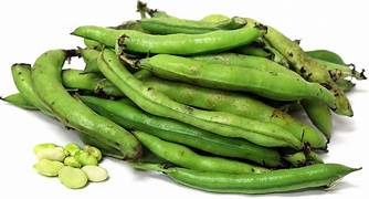 GREEN FAVA (2LB Per PACK)