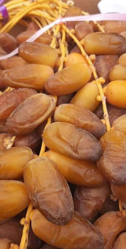 Sahara algerian date 2lb