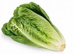 Romaine Lettuce(single paces)