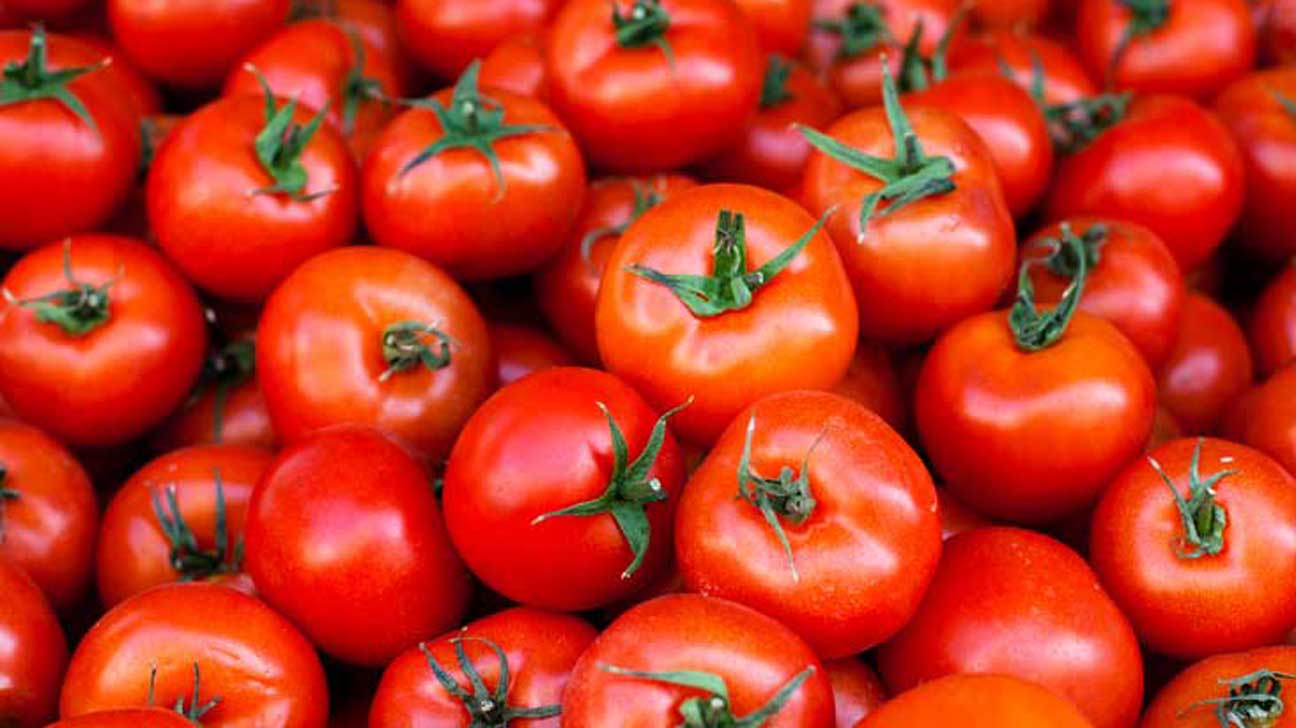 Fresh Tomato (2lb Per pack)