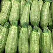 Fresh Zucchini (2lb Per pack)
