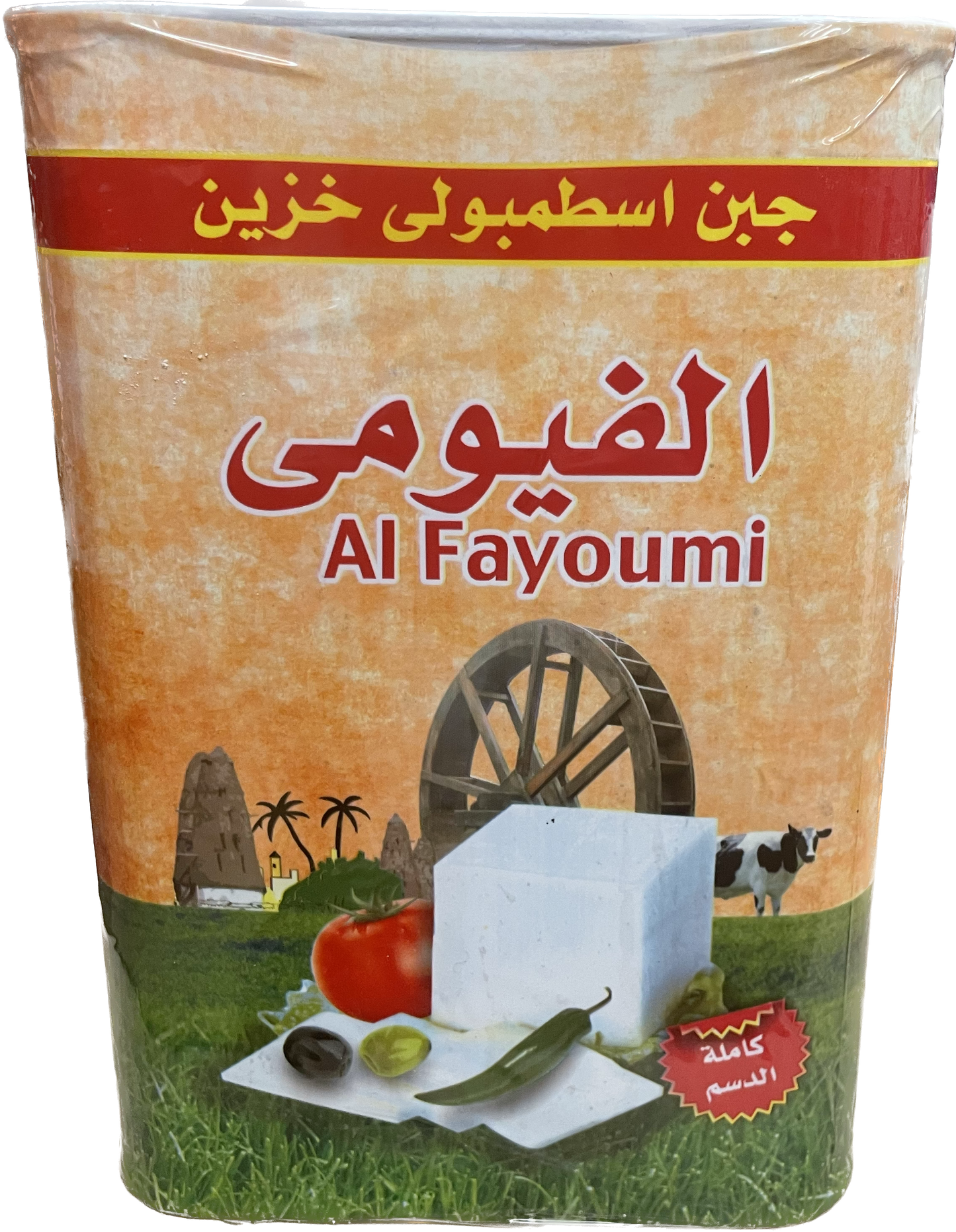 Al Fayoumi salted cheese 2Kg